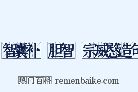 智囊补·胆智·宗威愍造句是什么意思的图片
